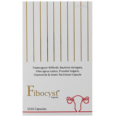 https://cdn.shopify.com/s/files/1/1857/6931/files/qlWJb4196H.png?v=1727784440